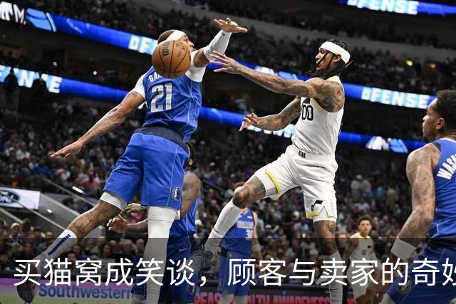 买猫窝成笑谈，顾客与卖家的奇妙互动引热议